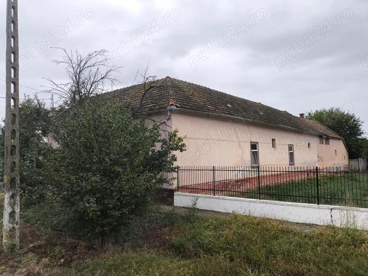 Casa de vanzare la Cenad - 4