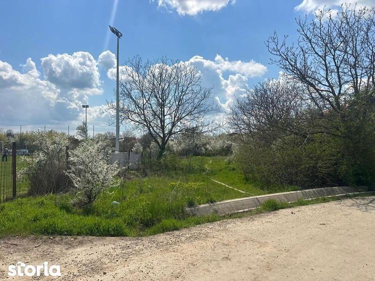 Teren Adunatii-Copaceni - 4