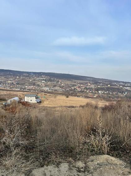 Teren 9.555mp front 28ml constructie ansamblu case Iris - 3