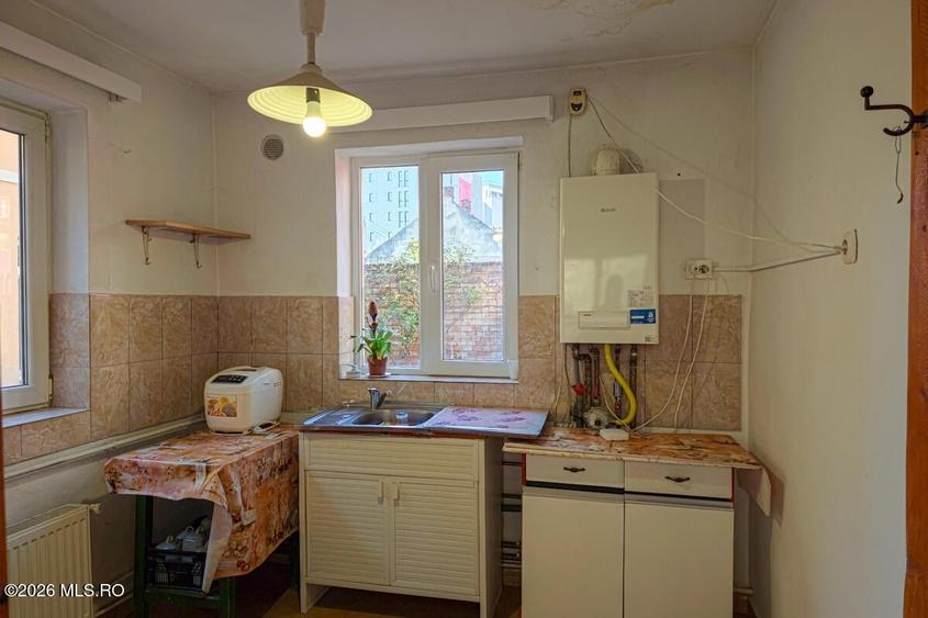 Lunei - Ion Neculce, 2 Apartamente. Mansarda 157 mp. Anexe, Lot 475 mp - 40