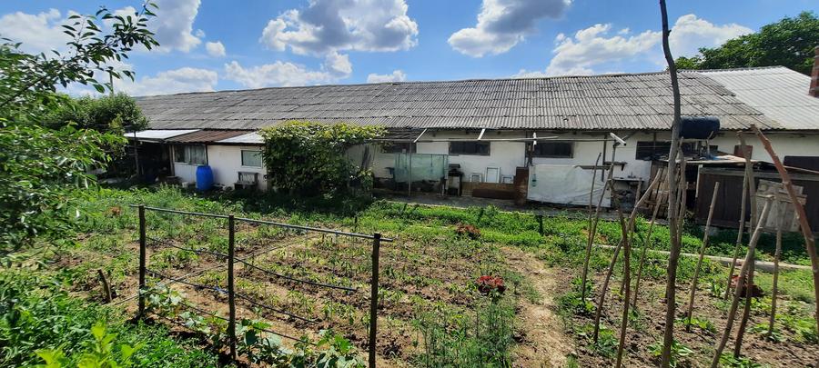 Hala zona Drumul Tatarilor - 1