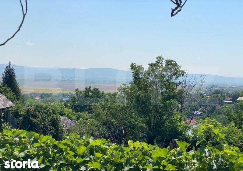 Vind Casa in Sacosu Mare, Com.Darova! Cu o suprafata de teren de 9500. - 8