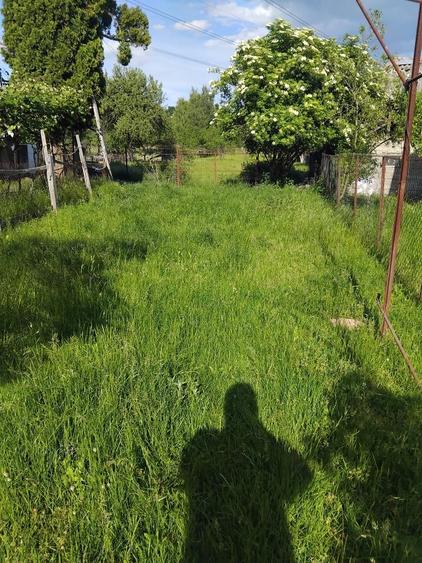 Vand casa si teren - 5