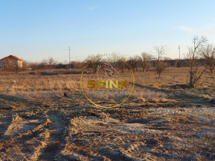 Soseaua Alexandriei, teren intravilan, 5000 mp, posibilitate 20.000 mp - 13