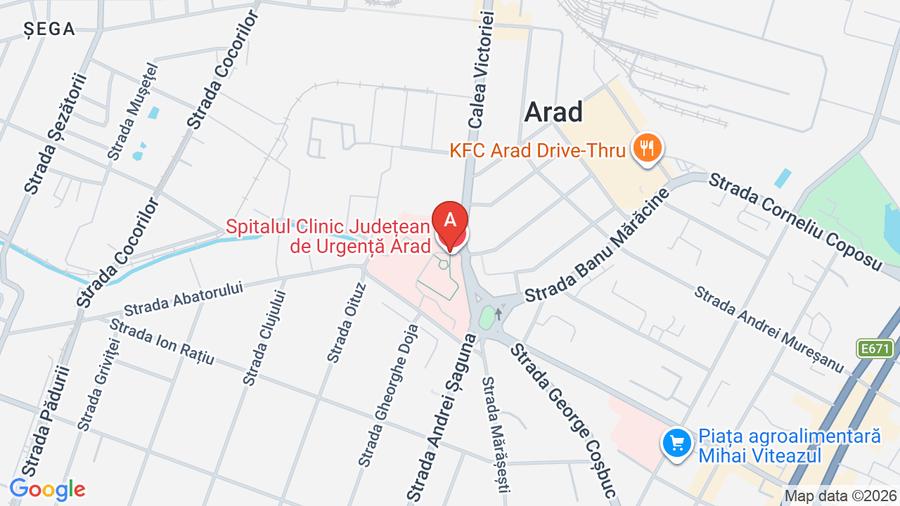 MMO SHELBY vă propune 7 case noi cu exterior  - 1