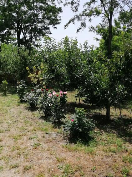 De vanzare teren intravilan 1550 mp cu casa la ro?u Voinesti, jud. Ia?i - 2