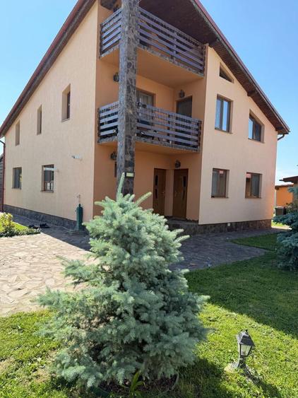 Vand casa superba in Mandruloc,Arad - 1