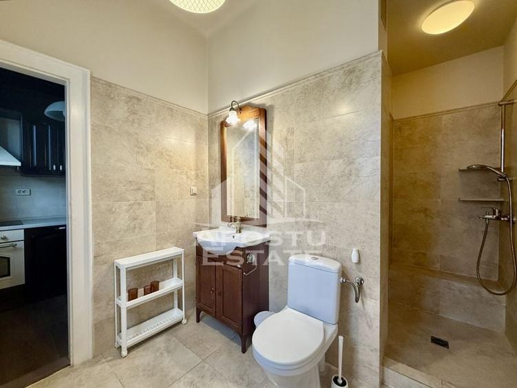 Apartament 2 camere, terasa si balcon, renovat, Ultracentral - 10