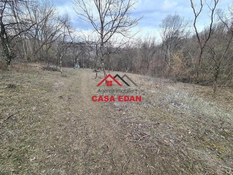 Teren extravilan in Provita--3448mp-12.000e - 2