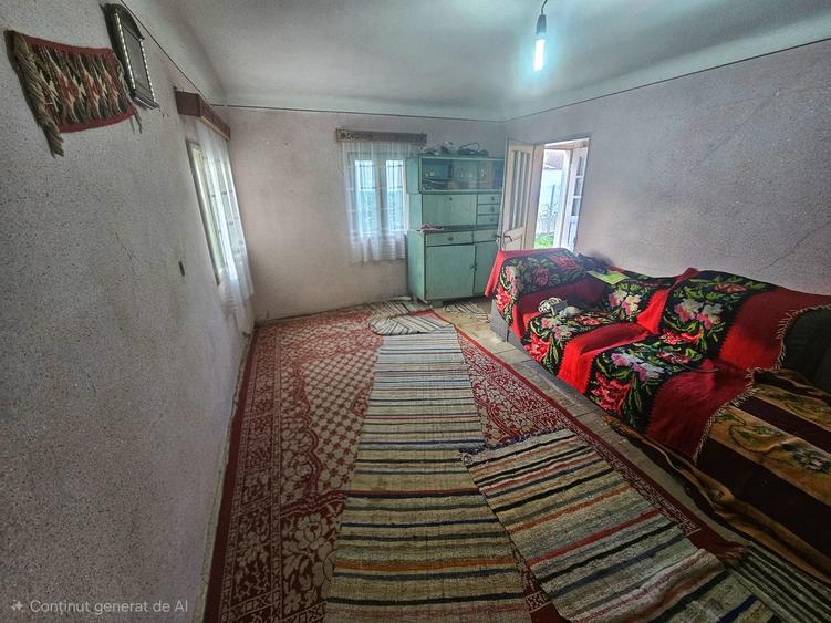 Exclusivitate! Casă cu teren generos în Sat Olteni, Com.Teișani - 24