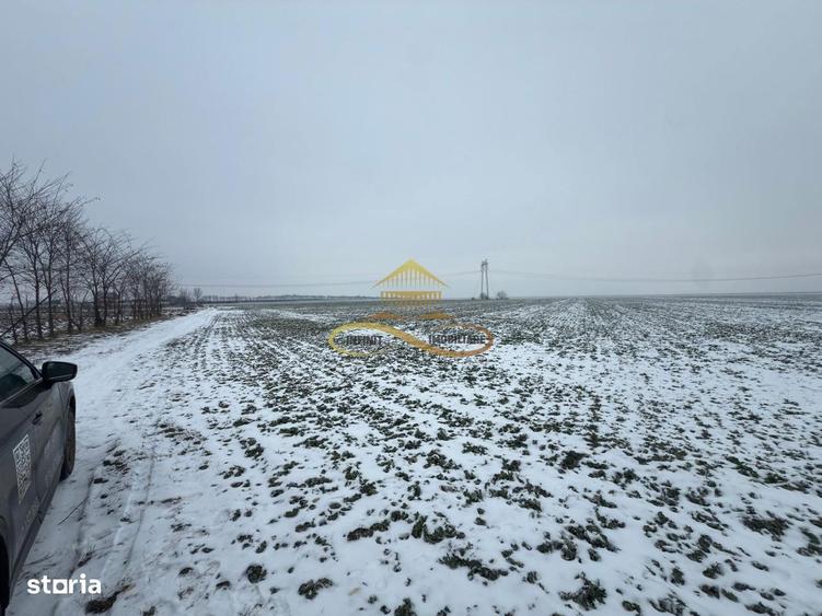 Teren agricol extravilan in Itesti de vanzare - 1