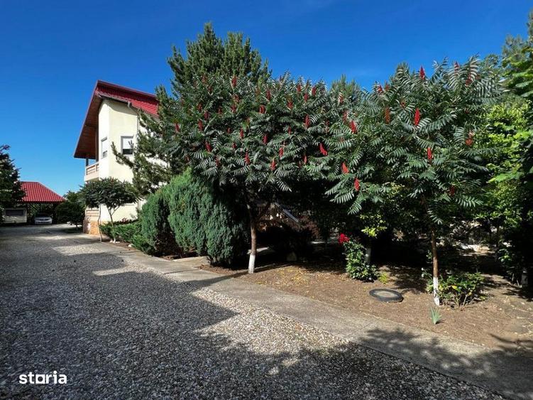 Pipera Drumul Potcoavei - 10