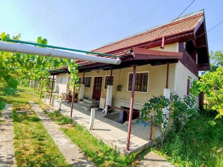 Casa individuala cu teren 1000m mobilata Cocorova, Mehedinti - 2