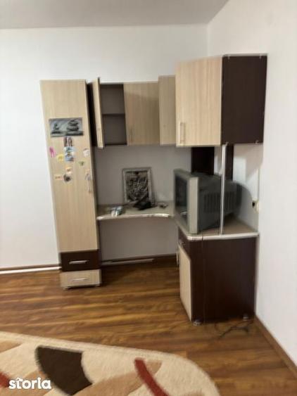 Apartament Potile de Fier 2 Gogosu - 3