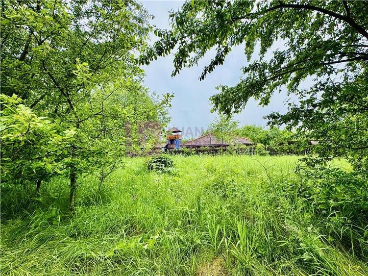 Teren intravilan 1600 mp | Valea Avrigului | zona turistica - 4