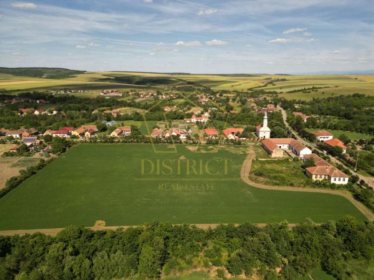 Teren Construcții intravilan de 16716 mp, în Petrovaselo