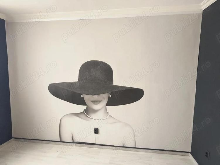 Vand vila Parcul Carol - 6