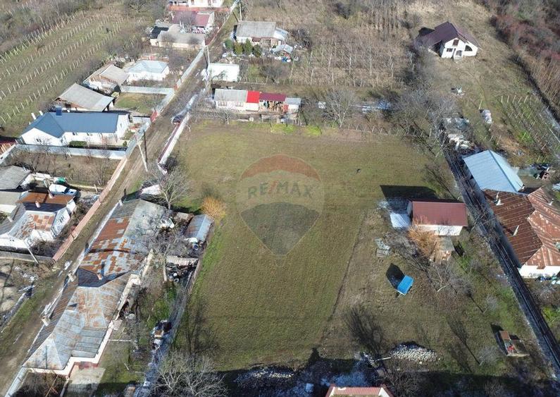 Teren 3,700mp intravilan Satu Nou Panciu - 5