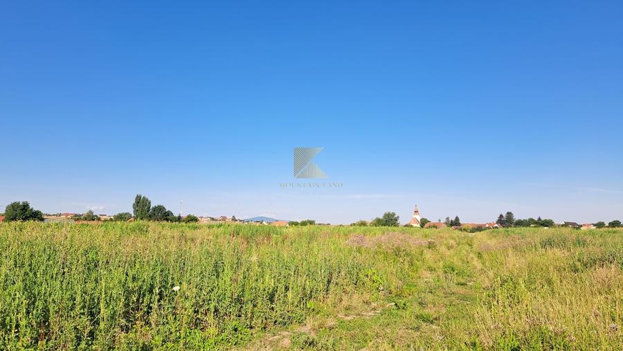 Posibilitate RATE | Teren Bod | curti constructii | utilitati | PUZ, - 11