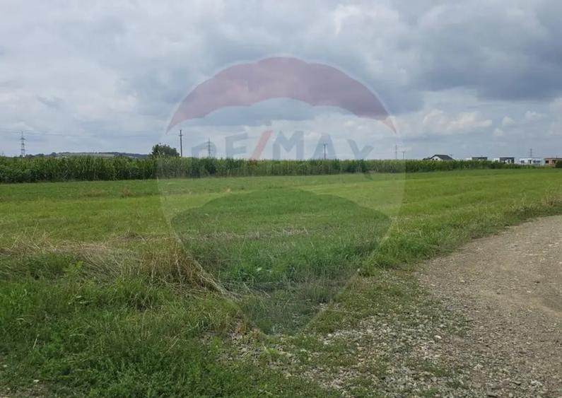 Teren 1,791mp Radauti / Strada Caramidariei - 2