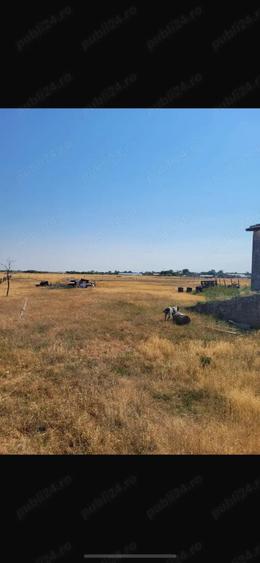 Vand hala 600 mp cu teren intravilan 9000 mp - 5