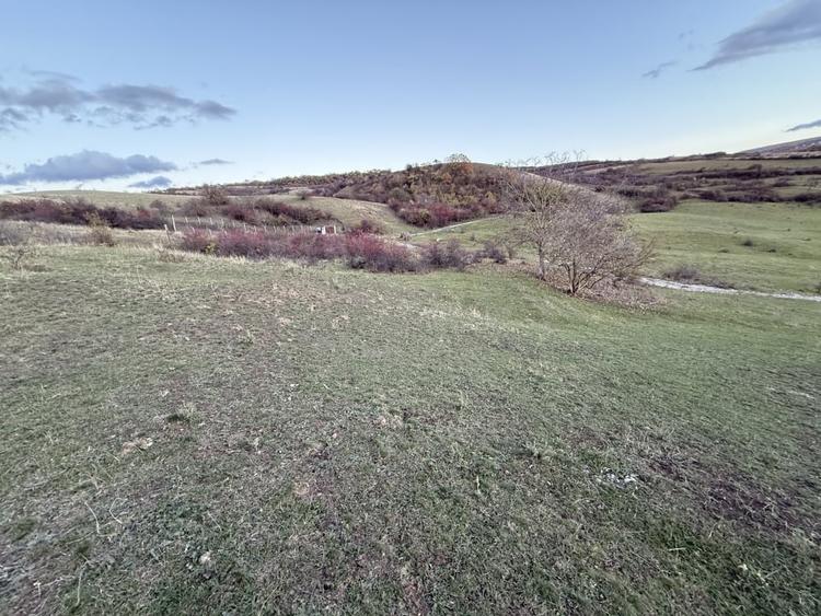 Teren Intravilan cu panorama in Borhanci Str Colonia Sopor 1000mp+85mp cota drum - 5