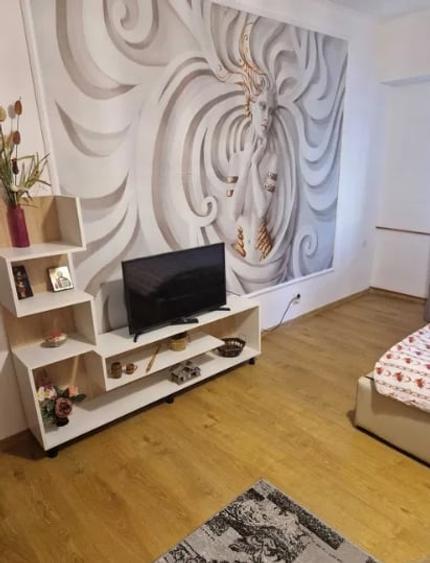 Vitan Mall metrou Timpuri Noi,bl.reabilitat,decomandata,p/10,mobilata,utilata. - 3