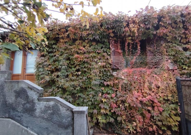 Proprietate in zona Parcului N Romanescu, casa batraneasca s - 9