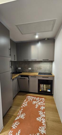 Apartament mobilat și utilat complet, ONE LAKE - 9