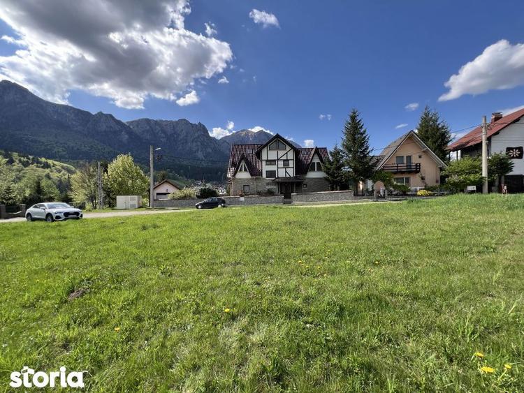 Teren 1407 mp Poiana Tapului. Vedere Bucegi .Tripla Deschidere - 14