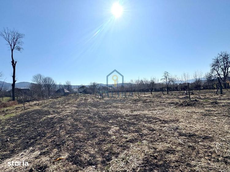 Casa de vanzare Surdesti cu teren intravilan 5000mp - 12