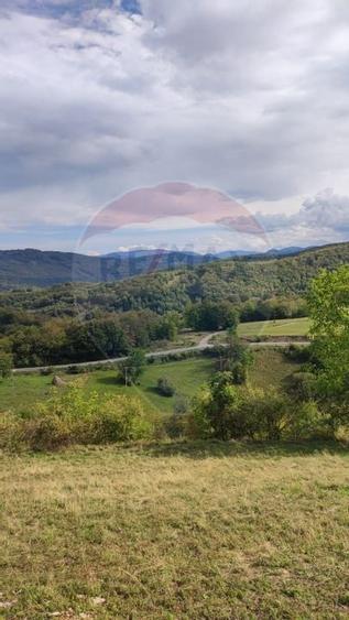 Teren constructii si faneata/livada 3082 mp Damis Bratca drum DJ 764D - 16