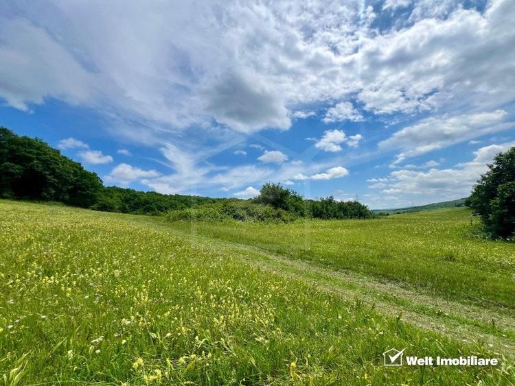 Oportunitate investitie, teren cu panorama pentru cabane - 3