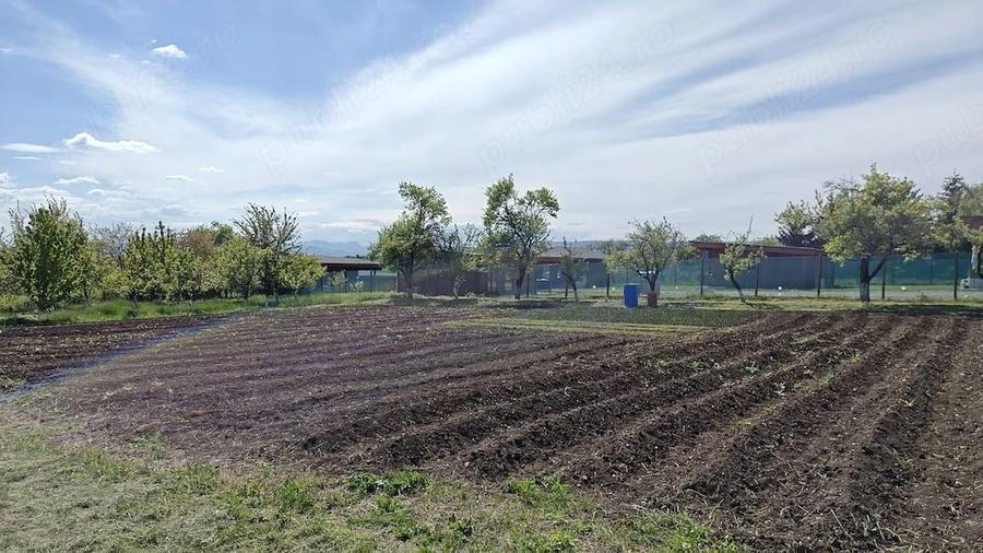 Teren de 7000 mp, în Central