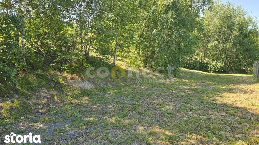 Teren de 1000 mp, în Făget