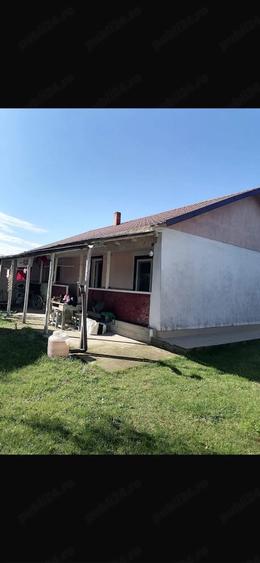 Casă cu Teren 2436 Mp în Cotu Ciorii