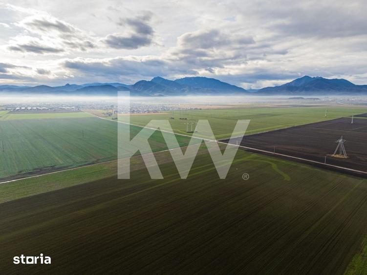 Teren de 16000 mp, în Hărmanului