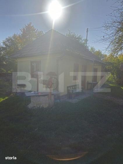 Casă cu 2 camere în Pănade