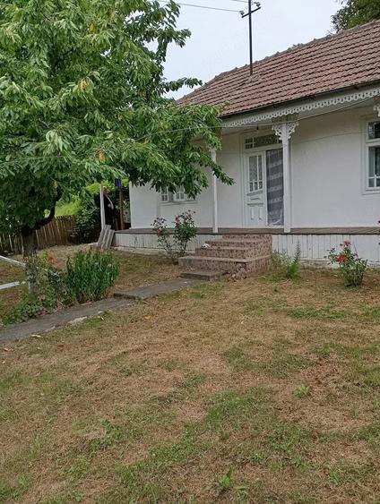Casă cu 2 camere cu Teren 5000 Mp în Șișcani