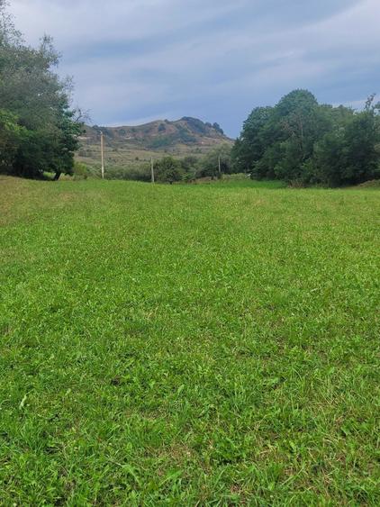 Vand Teren Intravilan .Suprafata de 7100 m2. - 4