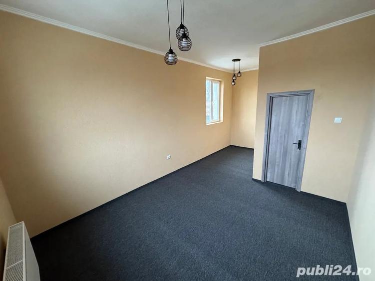 Spatiu comercial Teliu - 10