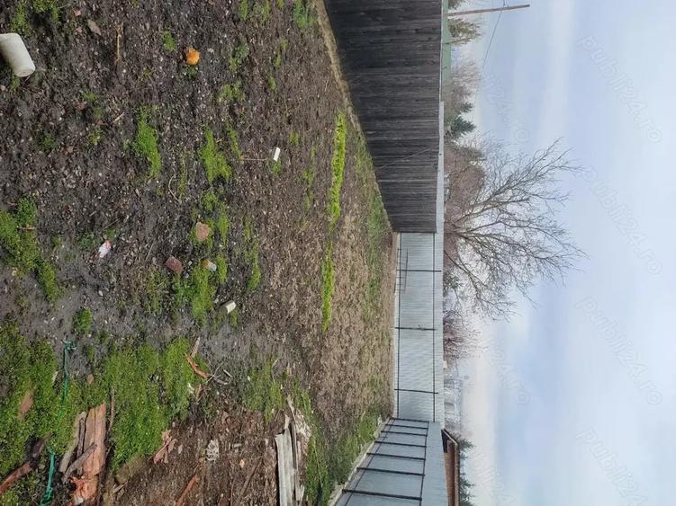 vind casa in sebes - 2