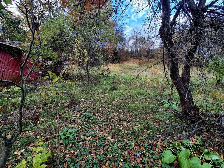 Casa de vacanta Timisu de Sus/Brasov/Oportunitate investitie - 22