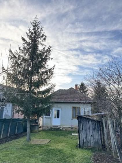 Casa de vânzare in Gradina Viilor Carei - 4