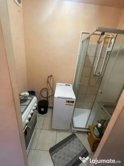 Camera de camin, de vanzare, 13,64 mp, zona Valea Rosie - 2