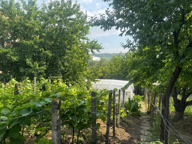 Valea Rediului ,vila tip duplex la strada principala , langa lac , libera - 15