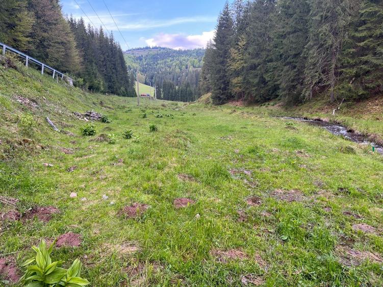 Teren intravilan Arieseni - 1250 mp - langa drum asfaltat - 2