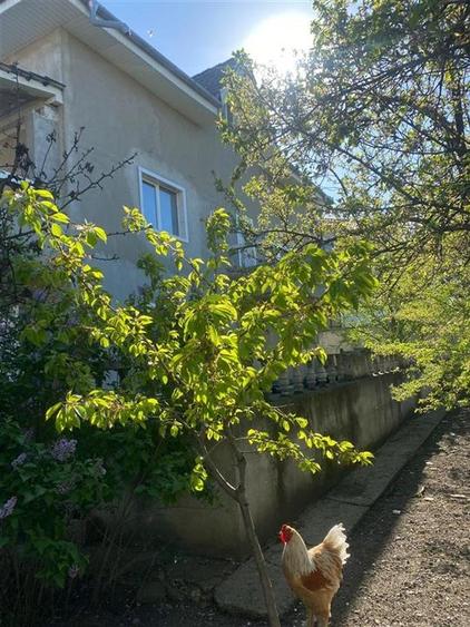 Vila P + 1 si  teren atat ptr.bussines cat si ptr locuit Onesti - 4