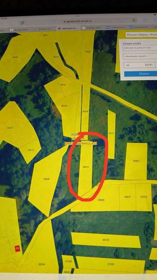 Teren de vanzare Valcea, Pausesti-Maglas, sat Vladuceni - 1