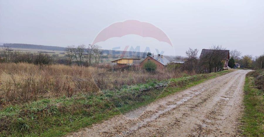 Loc de casa si teren cultivat cu vita de vie 1,28 Ha Sant... - 4